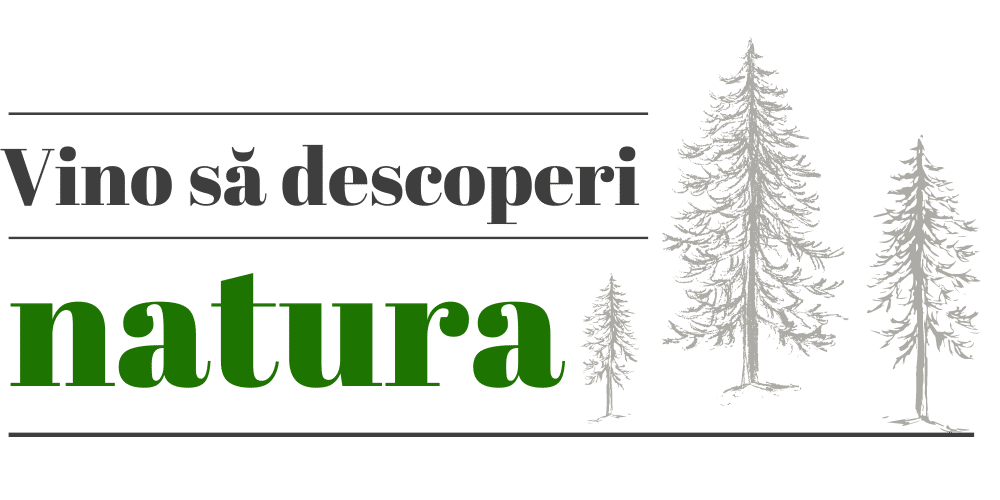 Cabana de inchiriat in natura